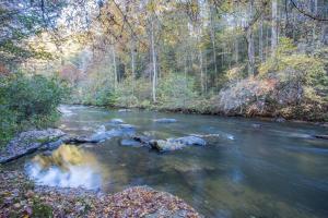 a river with rocks in the middle of a forest at NEW Modern Cabin! 2 Large Decks, Hot Tub, Sleeps 8 in Ellijay