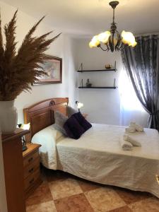 Posteľ alebo postele v izbe v ubytovaní Casa Francisca en el casco antiguo