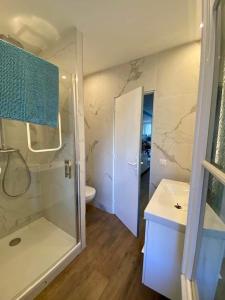 uma casa de banho com um chuveiro, um lavatório e um WC. em STUDIO HYPER CENTRE SAINT GERMAIN EN LAYE em Saint-Germain-en-Laye