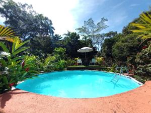 a swimming pool in a garden with an umbrella at Cacao Lodge and Tours in Fortuna