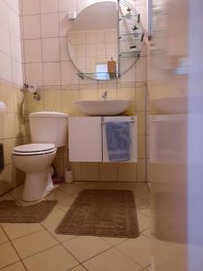 Koupelna v ubytování Apartman RIGEL
