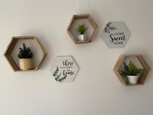 uma parede com quatro caixas de madeira com plantas em Charlot Center Apartment I em Alicante