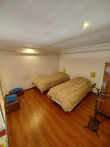 1 dormitorio con 2 camas y suelo de madera en Hermoso Loft Centrico en Buenos Aires