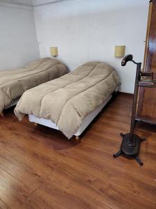 1 dormitorio con 2 camas y suelo de madera en Hermoso Loft Centrico en Buenos Aires