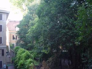 A garden outside House Maximo at Colosseum