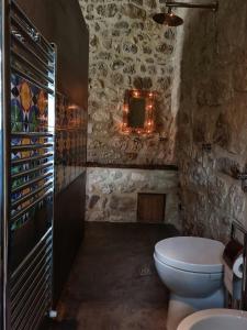 a bathroom with a toilet in a stone wall at Casa Cipampini in Petralia Soprana