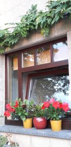 エワイユにあるBaliの窓枠の鉢花窓