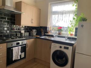 a kitchen with a washing machine and a sink at Cosy 2 bed flat in Baffins in Portsmouth