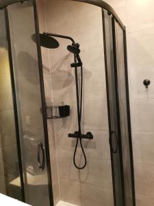 a shower with a shower head in a bathroom at Apartament w parku in Oświęcim