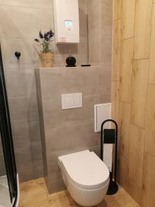 Zdjęcie z galerii obiektu Apartament w parku w Oświęcimiu
