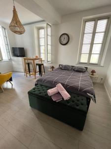 een slaapkamer met een groot bed met een klok aan de muur bij Le Petit Dijonnais in Dijon +21 foto's