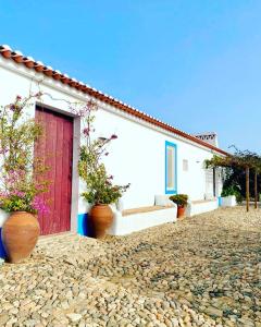 una casa bianca con una porta rossa e alcune piante di Monte Capitão Country house a Salvada