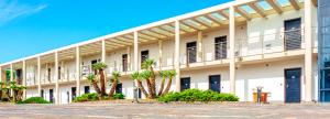 a white building with palm trees in front of it at Residence al Palace in Vasto