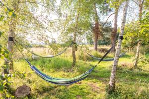 two hammocks hanging from trees in a field at Orion 4-Person Stunning Lotus Belle Tent in Ross on Wye