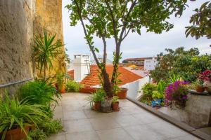 einen Garten mit Pflanzen und einem Baum auf dem Balkon in der Unterkunft The Bleu Lisbon Flat in Lissabon