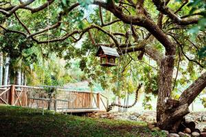 a bird house hanging from a tree in a park at Casarão Biazolli in Farroupilha