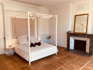 a bedroom with a canopy bed and a fireplace at l'Albuconis7 Appartement 160m2 in Aubusson