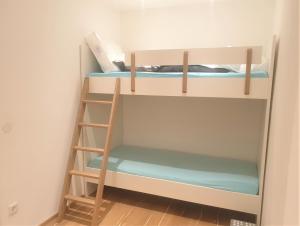 a small room with two bunk beds and a ladder at Haus am Weinberg in Seekirchen am Wallersee