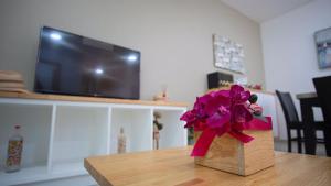TV a/nebo společenská místnost v ubytování Shanarani Apartament