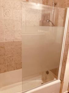 a shower with a glass door in a bathroom at l'Albuconis7 Appartement 160m2 in Aubusson