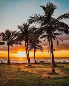 three palm trees on the beach at sunset at Apartamento Praia de Navegantes Beto Carrero Balneário Camboriú in Navegantes