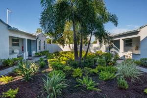 a palm tree in a garden in front of a house at The Bungalows in St. Pete Beach