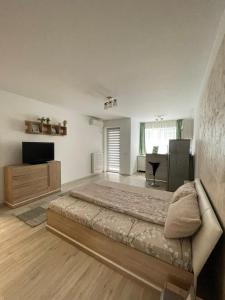 a large bedroom with a bed and a desk at Hanna's Apartament in Oradea