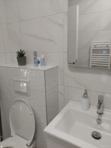 ein Badezimmer mit einem WC, einem Waschbecken und einem Spiegel in der Unterkunft Sunrise Apartments sa garažom in Banja Luka