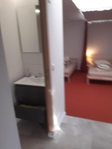 ein Bad mit einem Waschbecken und einem Spiegel in der Unterkunft Casa di Cynthia in Antwerpen