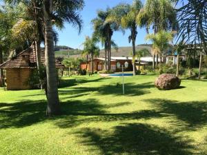 a green yard with palm trees and a building at Casarão Biazolli in Farroupilha