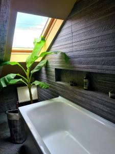 Ένα μπάνιο στο Laci Lak