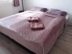 ein rosa Bett mit zwei Handtüchern darüber in der Unterkunft Reykjavik Apartment Garden and Terrace in Reykjavík