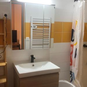 ein Badezimmer mit einem weißen Waschbecken und einem Spiegel in der Unterkunft sasu eco nature in Vendays-Montalivet