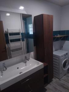 y baño con lavabo y lavadora. en sasu eco nature, en Vendays-Montalivet