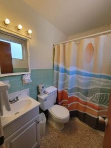 a bathroom with a toilet and a shower curtain at Tropical Marina & Resort on Lake Beresford in DeLand