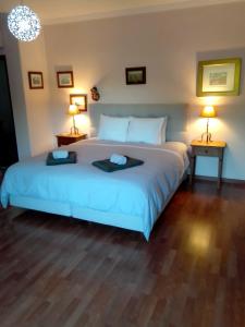 塞圖巴爾的住宿－Casal da Anixa，一间卧室配有一张大床和两盏灯