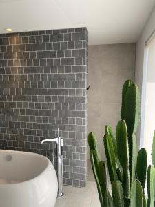 baño con bañera blanca y cactus en Villa Mariso “貸別荘マリソ“, en Noma