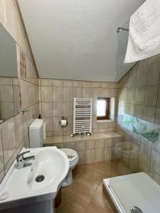 a bathroom with a sink and a toilet at Casa Andreas in Zărneşti