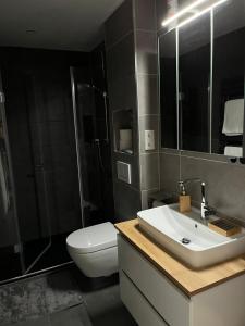 La salle de bains est pourvue de toilettes, d'un lavabo et d'une douche. dans l'établissement Moderne, ruhige Ferienwohnung in der Stadtmitte, à Hadamar