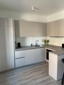 Kuchyň nebo kuchyňský kout v ubytování Dock 07 - modernes 4 Sterne-Ferienapartment direkt am Hafen