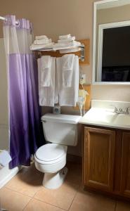 a bathroom with a toilet, sink, and bathtub at Purple Sage Motel in Panguitch