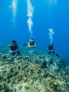 three people are scuba diving in the ocean at La Playita Isla Fuerte in Puerto Limón
