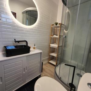 a bathroom with a toilet and a sink and a mirror at Tiny House Colibita in Colibiţa