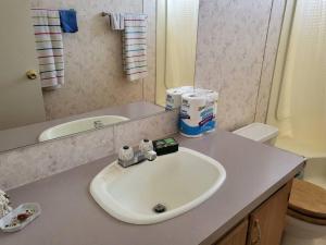 een badkamer met een witte wastafel en een spiegel bij A rest after a day in the Death Valley desert in Scranton