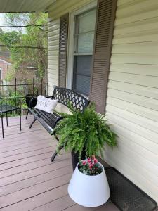 um alpendre com um banco e um vaso de plantas em The Haven em Brookhaven