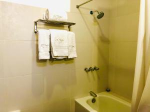 Koupelna v ubytování Hotel el Patio de Monterrey