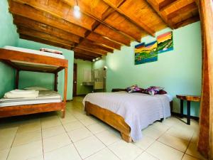 een slaapkamer met 2 stapelbedden en groene muren bij Hostel La Suerte in Monteverde Costa Rica