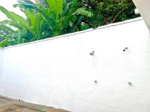 Gallery image of Beach House in the Jungle HighSpeed Wifi, AC in Santa Cruz +26 photos