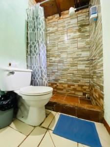 a bathroom with a toilet and a brick wall at Hostel La Suerte in Monteverde Costa Rica