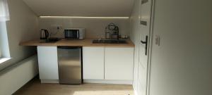 Küche/Küchenzeile in der Unterkunft APARTAMENTY MONTANIA WISŁA